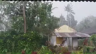 Mencekam || Di Pagi Hari Hujan Angin (Kampung Halaman)