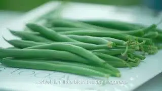 PV987 - Beans | Product Demo Video (EN)