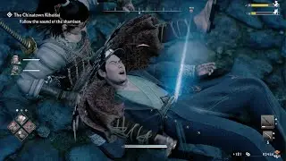 Rise of the Ronin