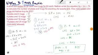 Math Year 9 -  Naplan Year 9 math - Solving complex problems