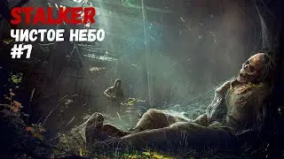 ЧЕРЕЗ ЛЕС В ЛИМАНС! (Прохождение S.T.A.L.K.E.R.: Чистое небо #7)