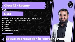 Pollination in water hyacinth and water lily is brought about by the agency of:
(2016 - II)
a. Bi...