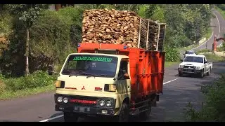 NGOYO.....!!!  TRUK TUA BAWA KAYU BANYAK