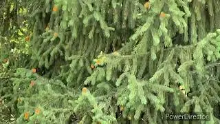 Потеряла все деньги и паспорта