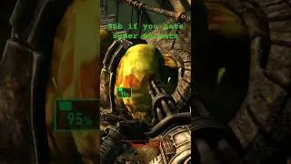 Fallout 3: The Mutant Slayer