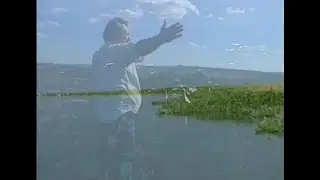 ALDO PEÑA - QUIERO SER NATURALEZA