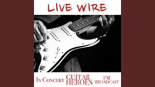 The Damage Is Done (Live)