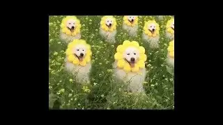 when you die this is the first thing you see
