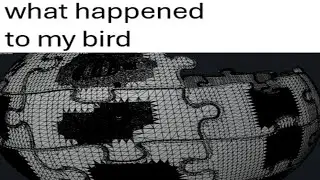 The Blender Help Forum Hurt my Soul