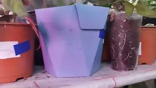 ПОКА НА ЗЕМЛЕ.. В ДАЛЬНЕЙШЕМ ГИДРОПОНИКА..
