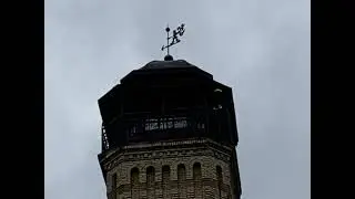 10 ноября 2021 г.