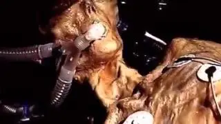 Фото НЛО и Пришельцев