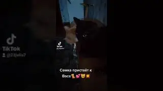 Слышь, ты че такая дерзкая💥