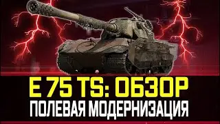 E 75 TS ГАЙД ОБЗОР И ПОЛЕВАЯ МОДЕРНИЗАЦИЯ ОДИН ИЗ ЛУЧШИХ ПРЕМИУМ ТТ