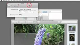 Mac OS 104: Preview - 2. General Preferences For Opening Files