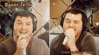 Sting - Fragile (cover by Barry Irish band)