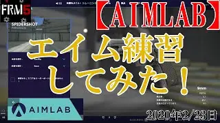 エイム練習してみた【aimlabo】