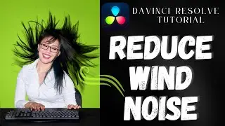 💨 Reduce Wind Noise in DaVinci Resolve Tutorial 🍃 Quick and Easy Audio Fix in 2 Minutes