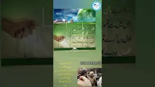 14th August 2024 Jashne Azadi Buht Buht Mubarak ho...