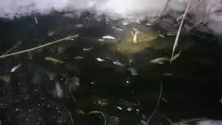 Секреты зимней рыбалки