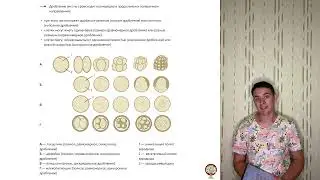 ОНТОГЕНЕЗ. ВСЕ САМОЕ ВАЖНОЕ ДЛЯ ЕГЭ!