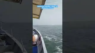 Terkini‼️Helikopter APMM "JATUH" di Pelabuhan Klang.