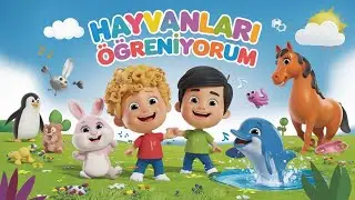 Hayvanları Öğreniyoruz Şarkısı - Çocuk Şarkısı - Okulöncesi Şarkısı - Eğitici ve Öğretici Şarkı