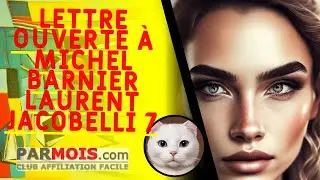 Lettre Ouverte à Michel Barnier   Laurent Jacobelli 7