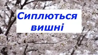 Сиплються вишні | Д. Некрасов