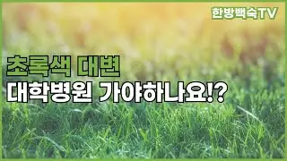 어느날, 초록색 대변을 보았다