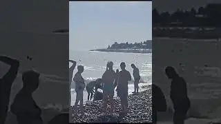 На пляже в Сочи к берегу прибило морскую мину.  Руские обрадовались и вытащили её на берег,