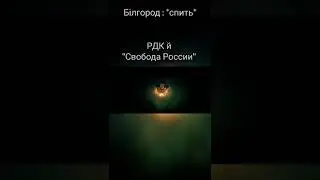 Білгород і РБК/ мем / Adam Warlock