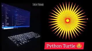 Best Turtle Graphics In Python | Python Turtle Animation | Python Turtle Full Tutorial