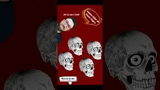 A grande peste - Peste Negra - Biologia