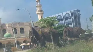 Rush hour in Malindi   Teil 18