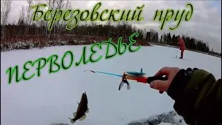 Березовский пруд  Перволедье