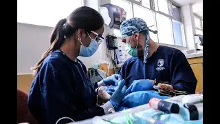 Andrea Fernanda Mesías Peñaherrera, Investigadora UASLP