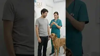 😂🐶 CHI AVEVA PIÙ PAURA DAL VETERINARIO?