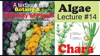 Chara Urdu lecture for B.S (Botany, Zoology, Chemistry)