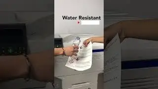 GHS Label Printer: OKI Pro 9000 series
