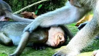Pity Baby Lori problem of health see Drowsy nurse by Dolly , Why Amari not warm & care her baby