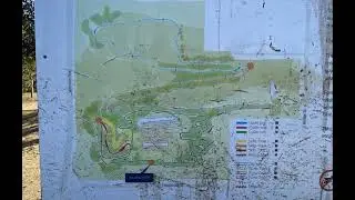 The Hill Mountain Bike Park (Newtown)