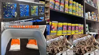 الجديد في السلعة و في الأسماك بتاريخ 07 08 2024
