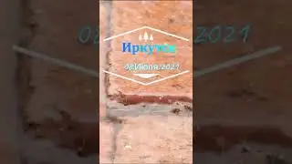 ДОЖДЬ