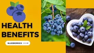 Why Blueberries are the Ultimate Superfood for Optimal Health and Wellness