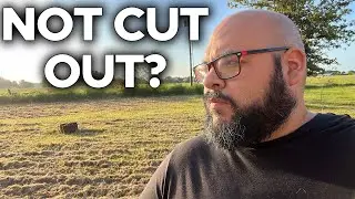 What It Takes To Be A Full Time Content Creator. Are You Cut Out For It?