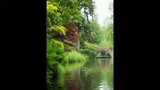 красивое видео