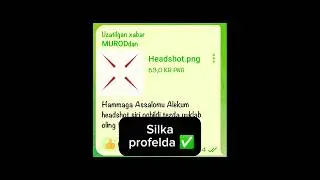 Silka profelda ✅