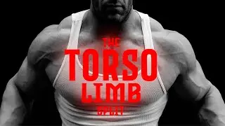 The Best and Worst Training Splits - Torso and Limbs!
