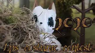 Hosting a lps costume contest!